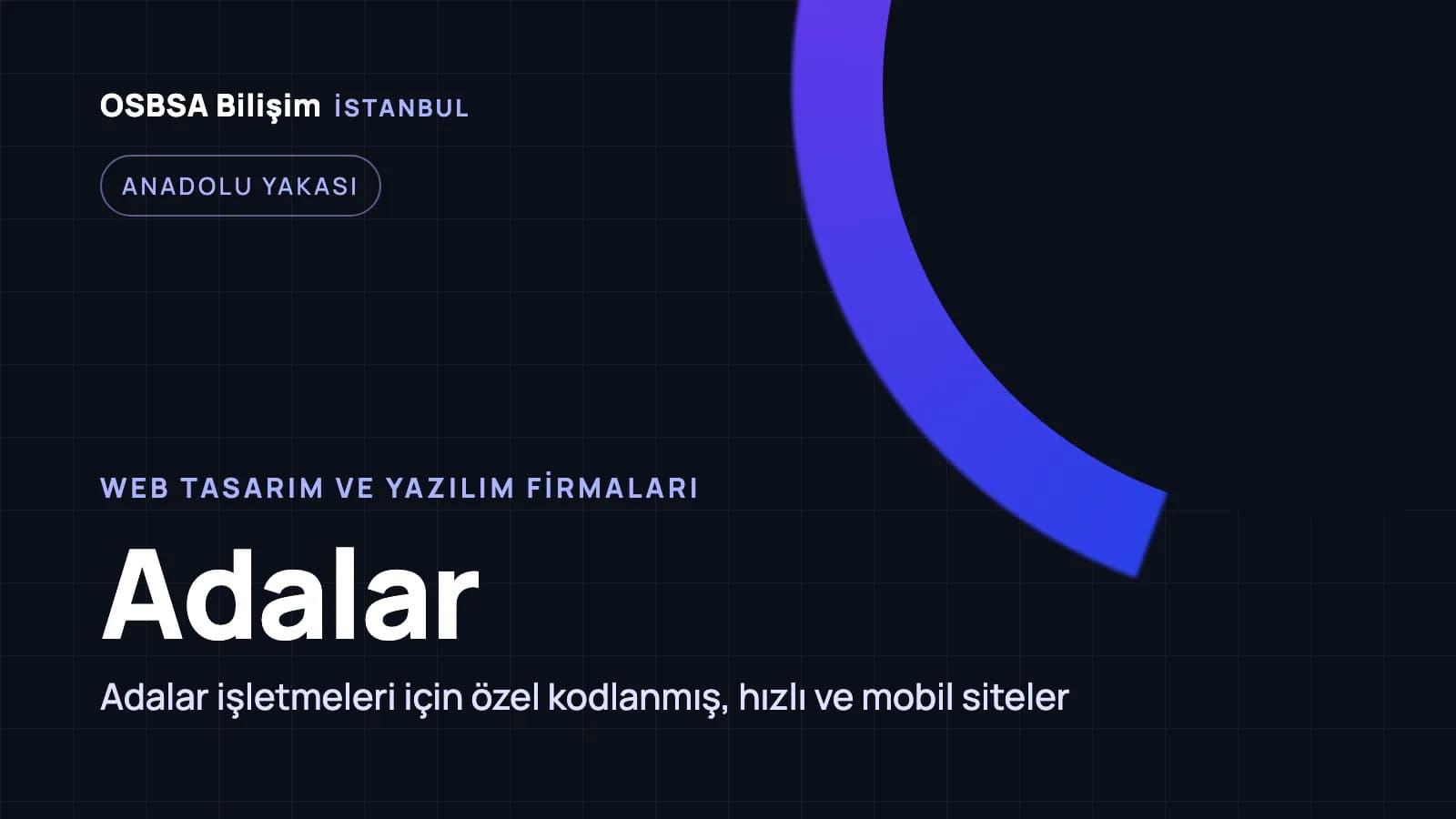 Adalar web tasarım firmaları, Adalar web yazılım ajansı