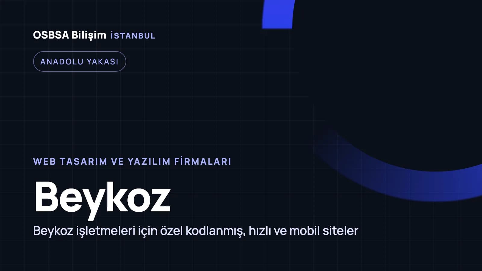 Beykoz web tasarım firmaları, Beykoz web yazılım ajansı