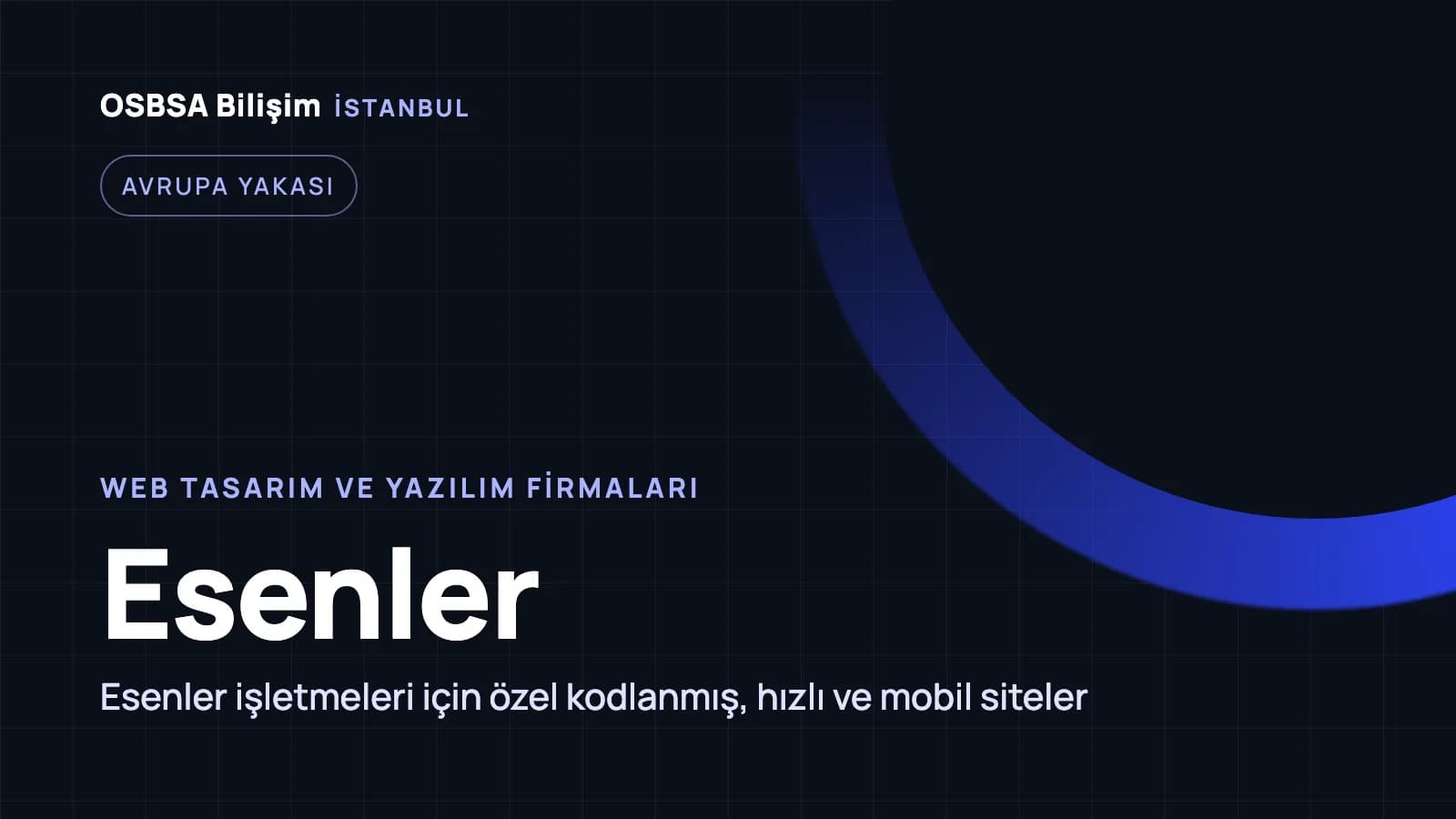 Esenler web tasarım firmaları, Esenler web yazılım ajansı