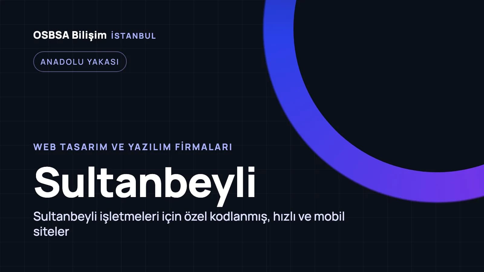 Sultanbeyli web tasarım firmaları, Sultanbeyli web yazılım ajansı