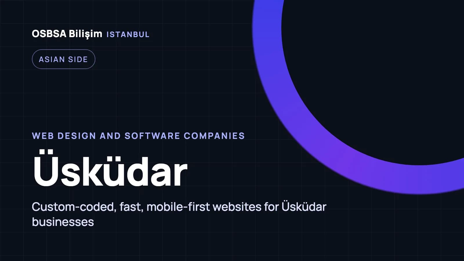 Üsküdar web design companies, Üsküdar web software agency