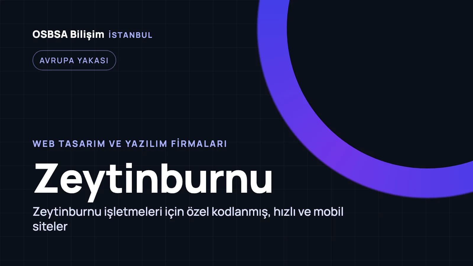Zeytinburnu web tasarım firmaları, Zeytinburnu web yazılım ajansı