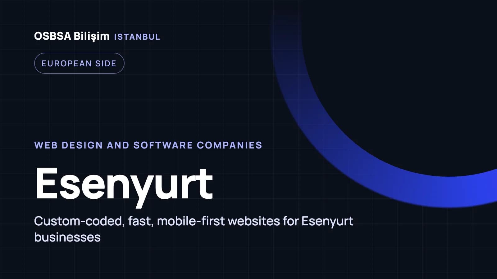 Esenyurt web design companies, Esenyurt web software agency
