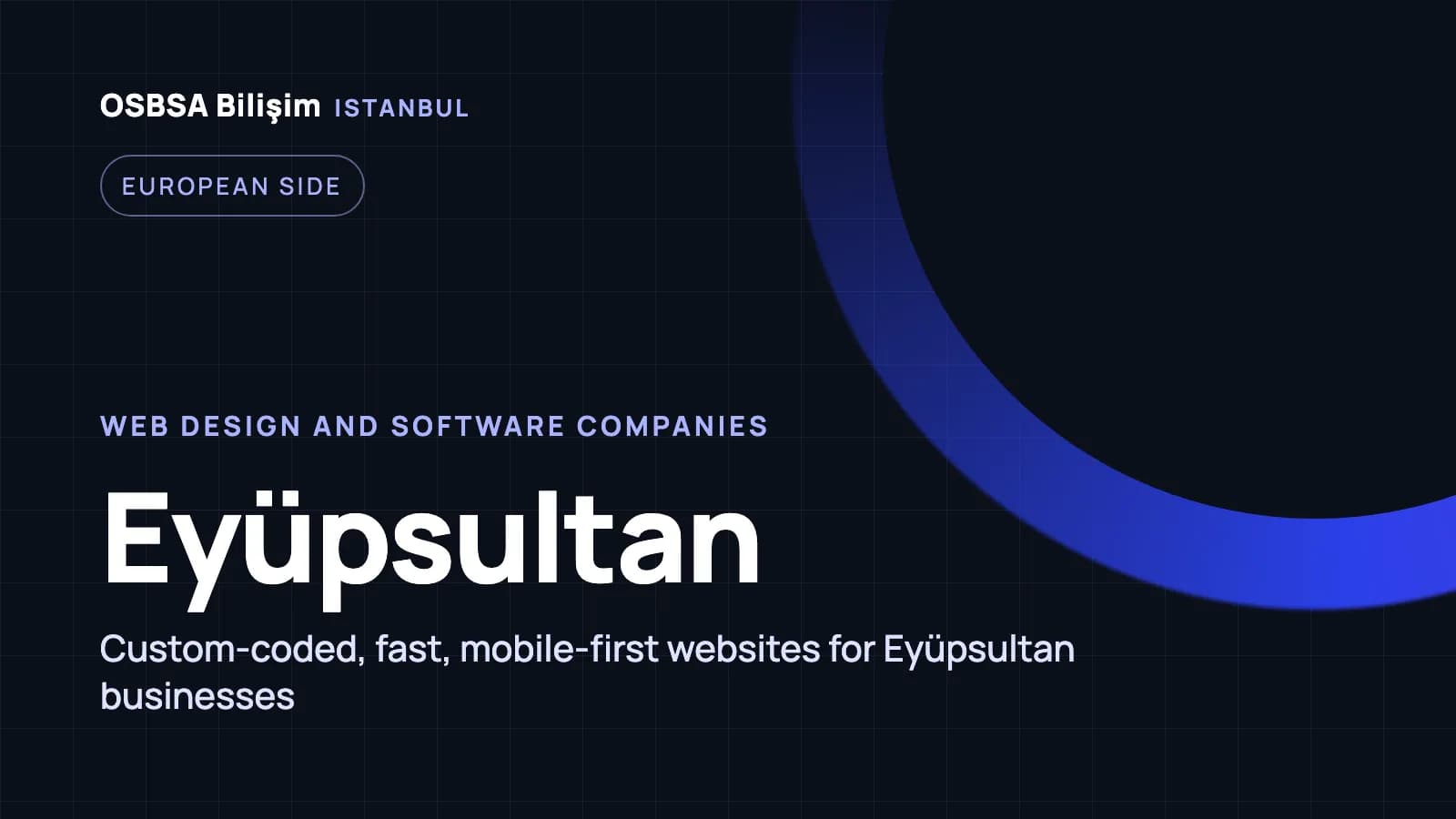 Eyüpsultan web design companies, Eyüpsultan web software agency