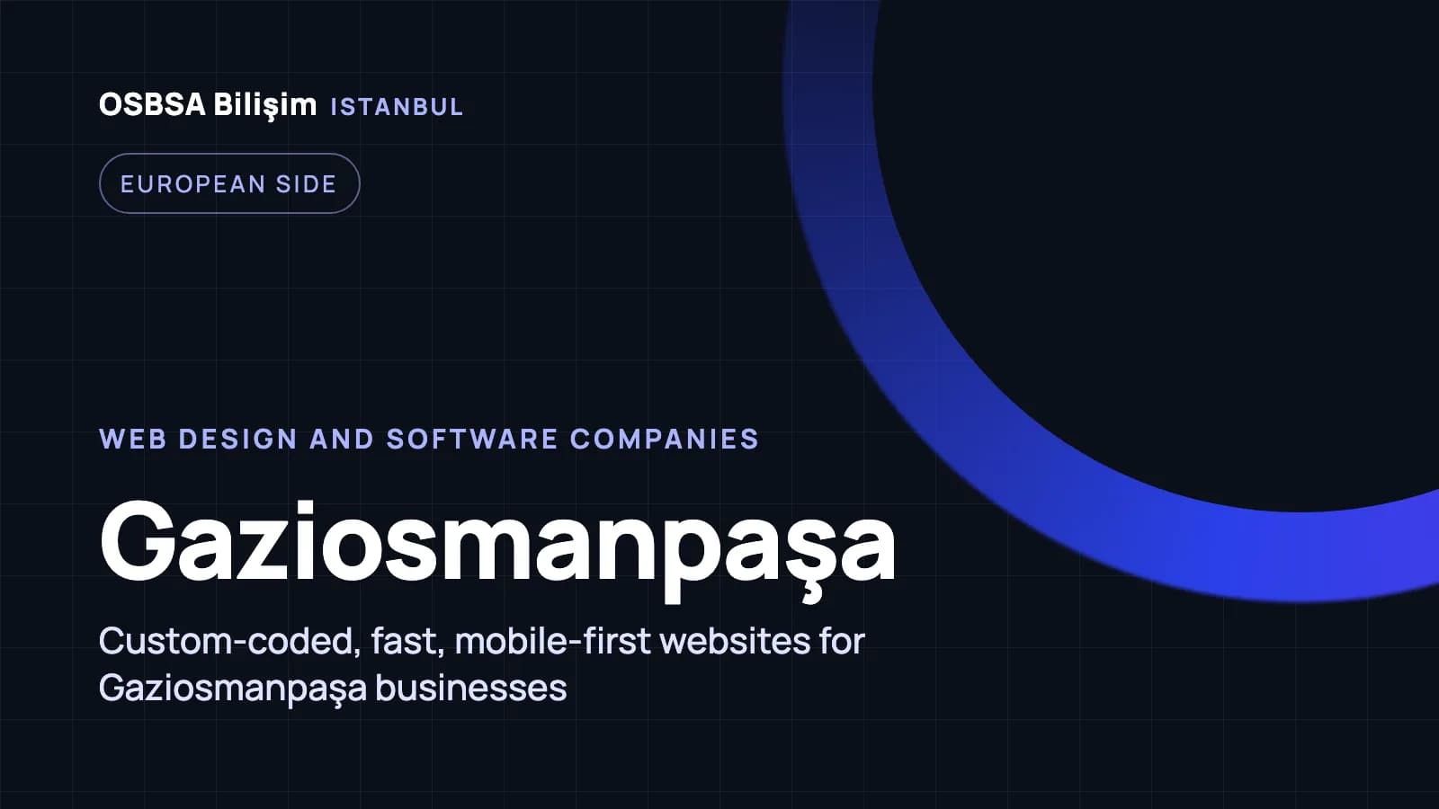 Gaziosmanpaşa web design companies, Gaziosmanpaşa web software agency