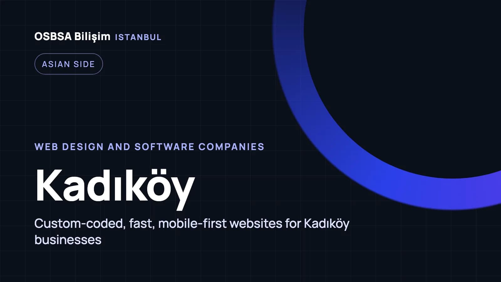 Kadıköy web design companies, Kadıköy web software agency