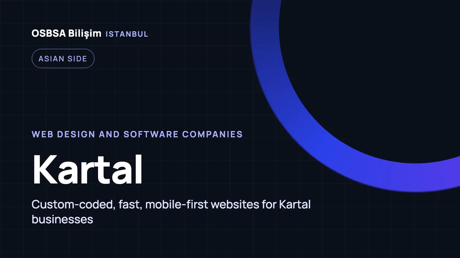 Kartal web design companies, Kartal web software agency