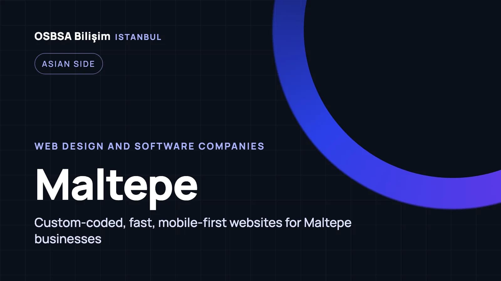 Maltepe web design companies, Maltepe web software agency