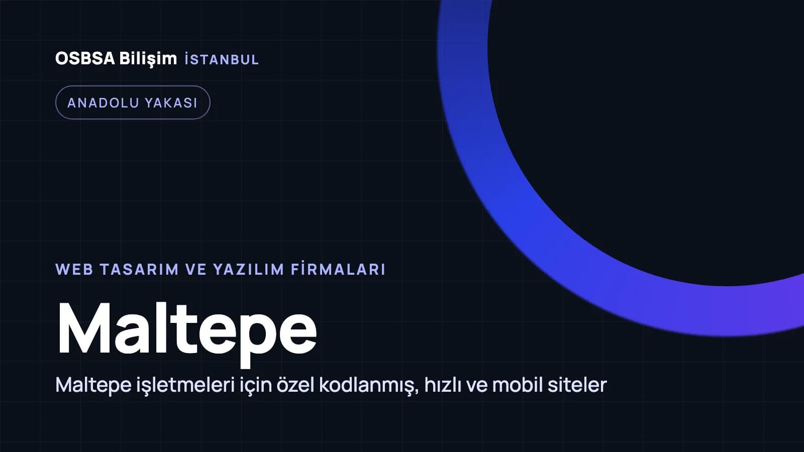 Maltepe web tasarım firmaları, Maltepe web yazılım ajansı