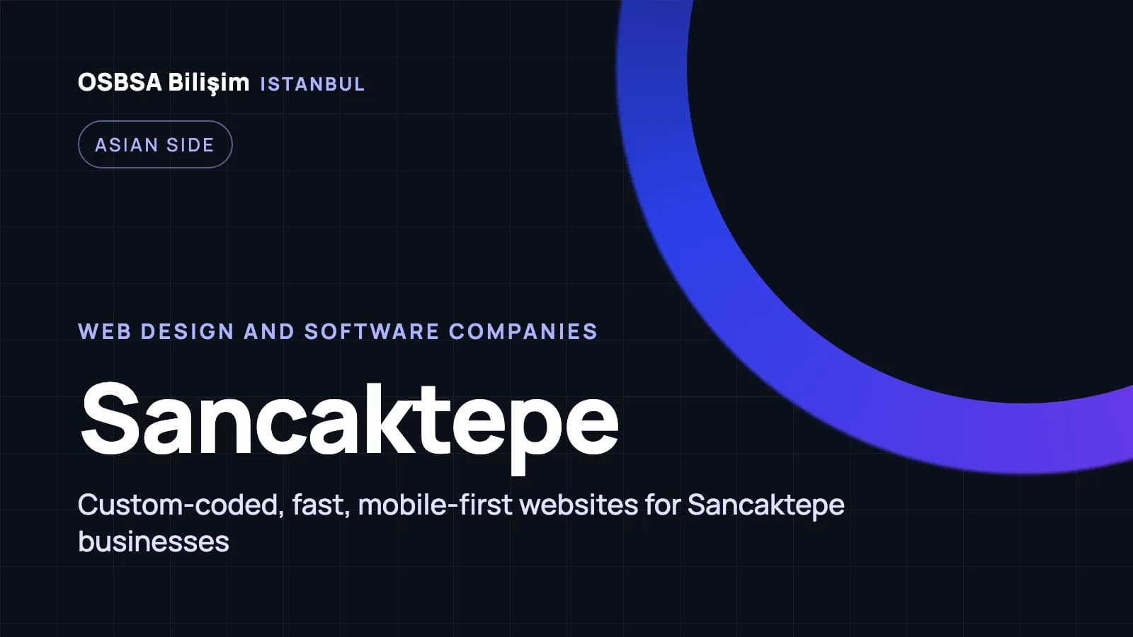 Sancaktepe web design companies, Sancaktepe web software agency