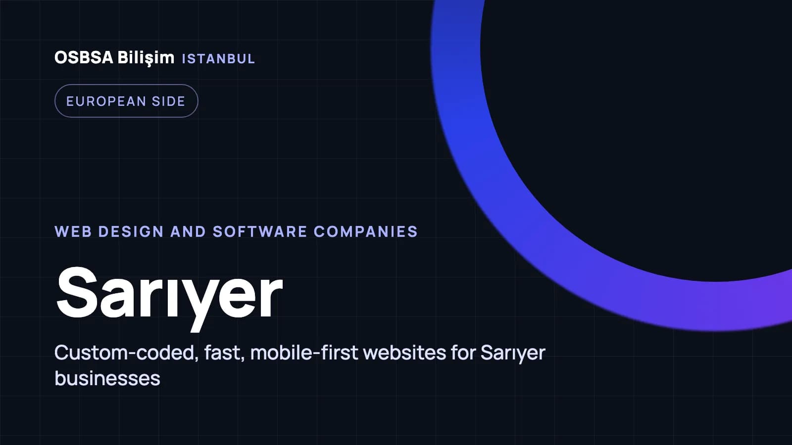 Sarıyer web design companies, Sarıyer web software agency
