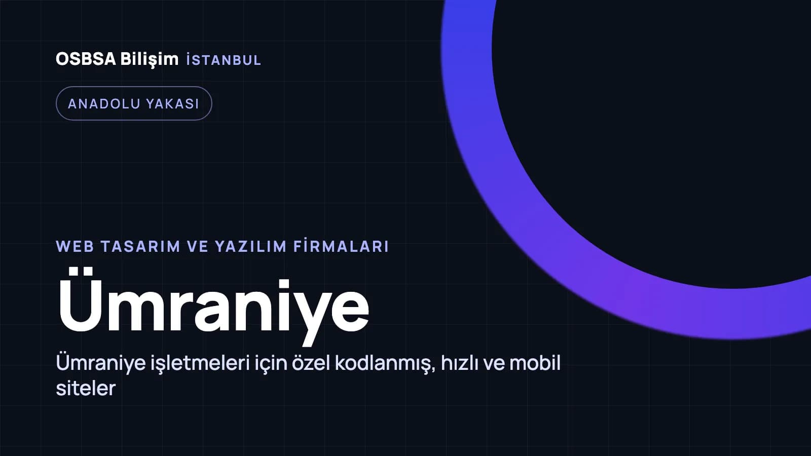 Ümraniye web tasarım firmaları, Ümraniye web yazılım ajansı