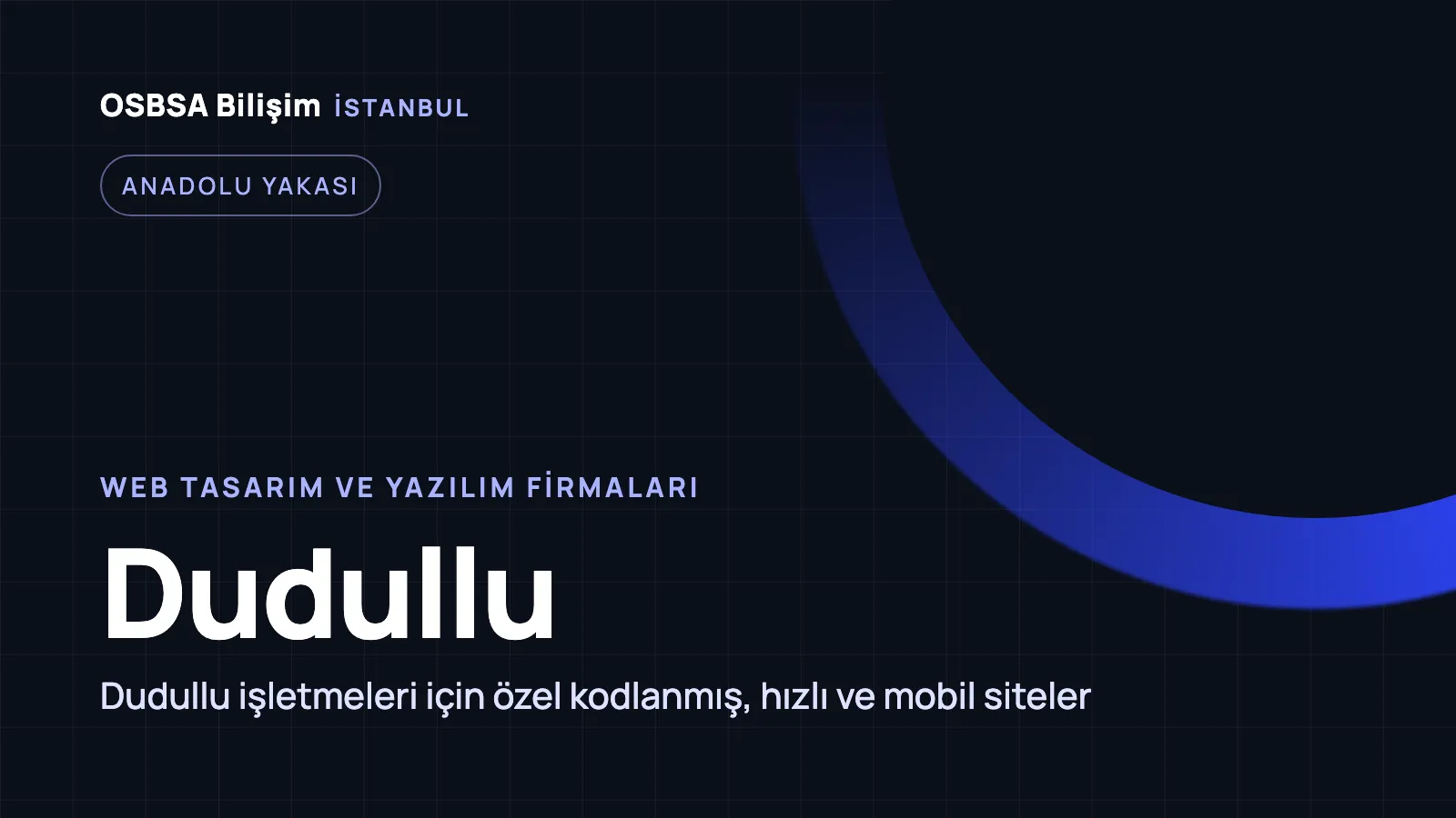 Dudullu Web Tasarım - OSBSA Bilişim