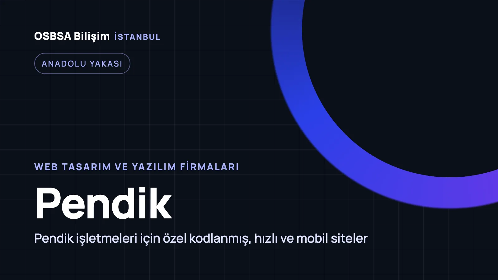 Pendik Web Tasarım - OSBSA Bilişim