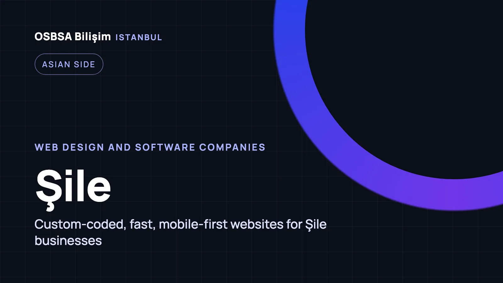 Şile Web Design - OSBSA Bilişim