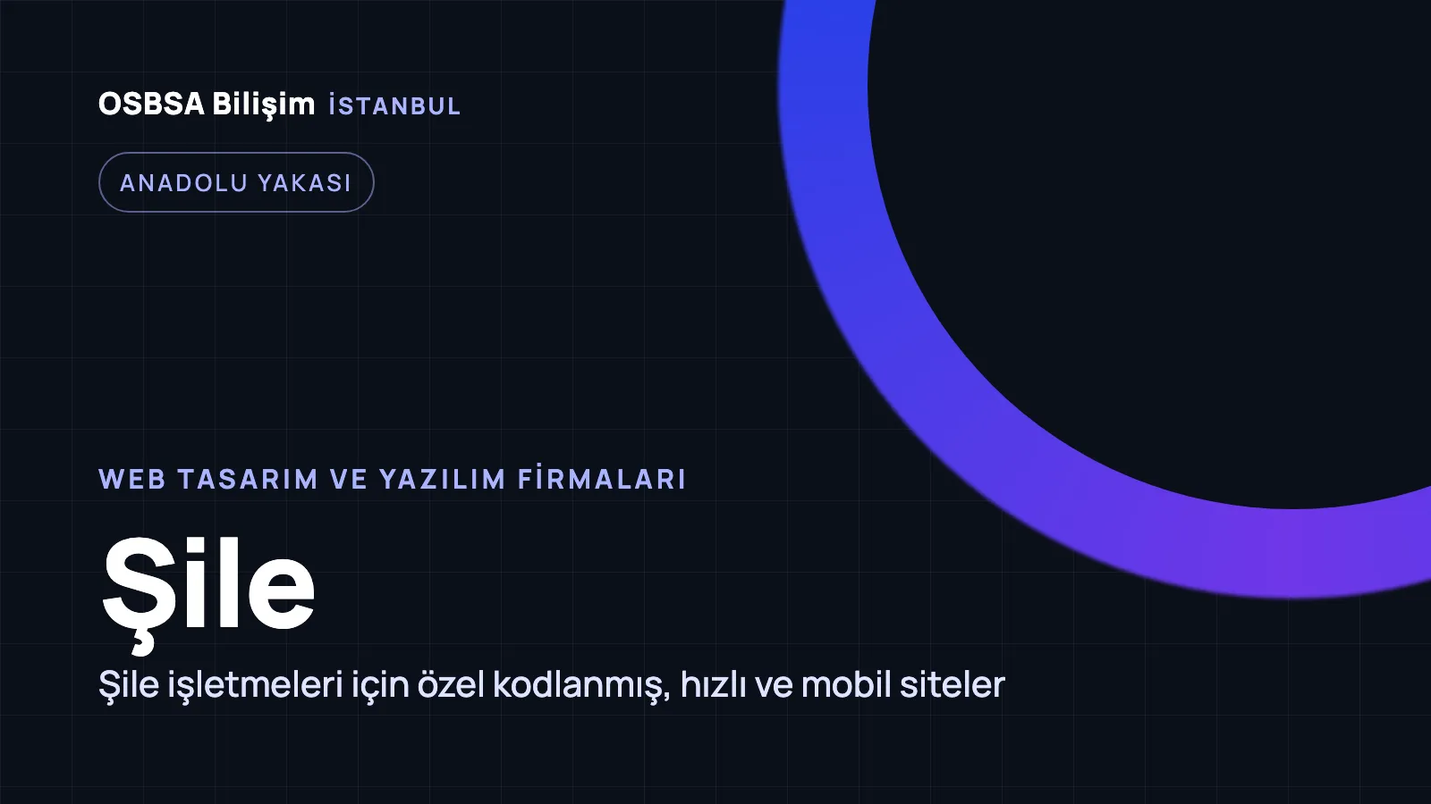 Şile Web Tasarım - OSBSA Bilişim